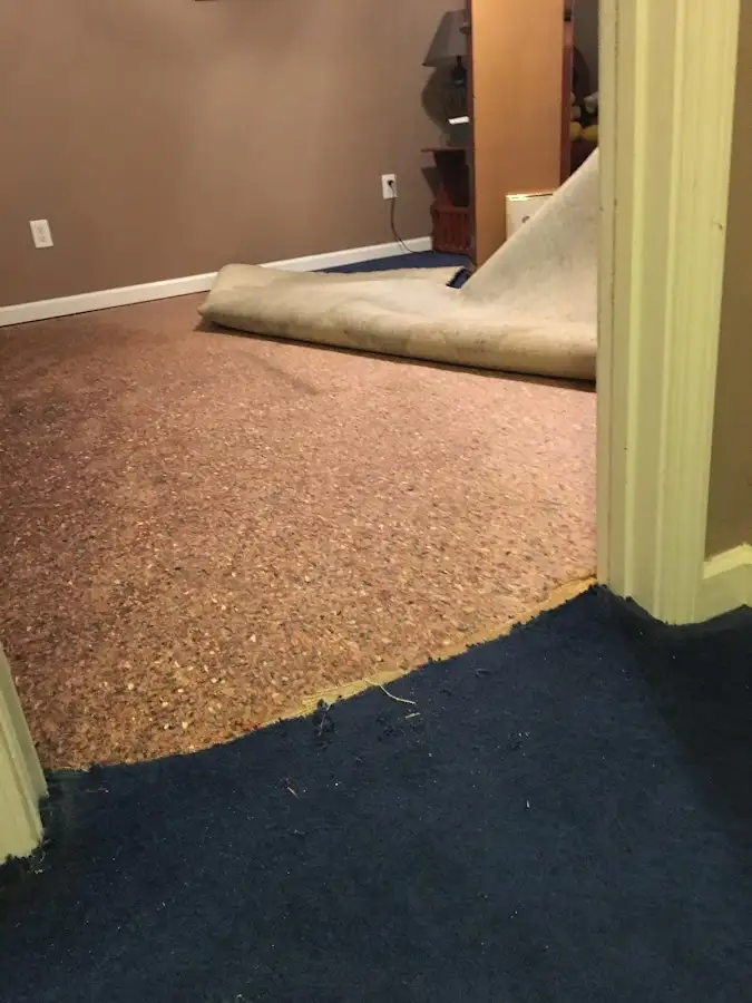 Carpet pad removal revealing water damage during Drying & Dehumidification in New Bedford