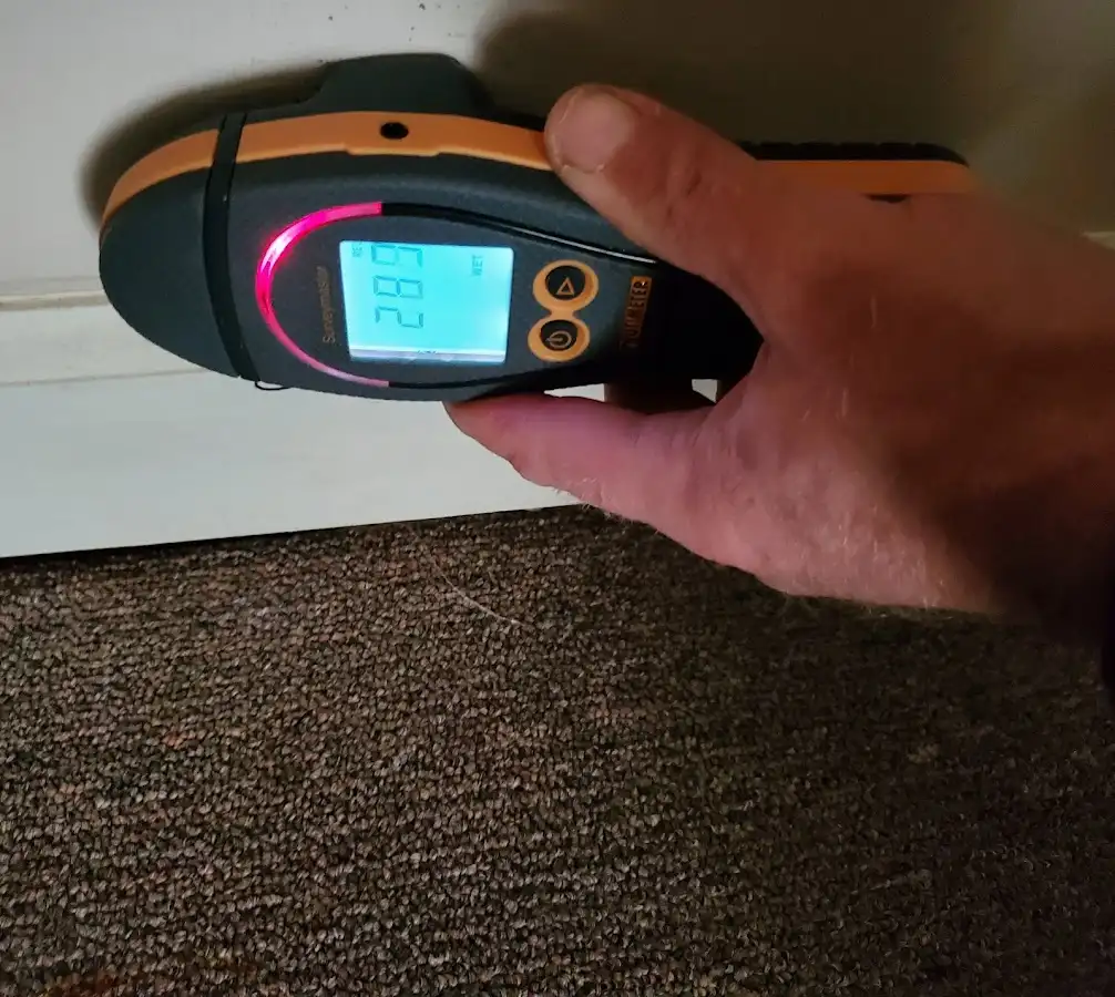 Moisture detection at baseboard during Sewage Cleanup & Sanitation in New Bedford